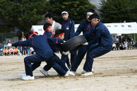 R6DSC_4798