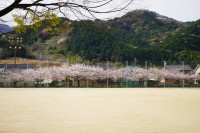 R7DSC02206