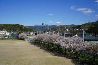 DSC06570