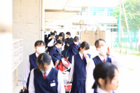 3d2a7578-b61e-4d18-86c9-78ab416390f2-1_all_137