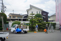 R7DSC07391