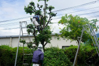 R7DSC07393