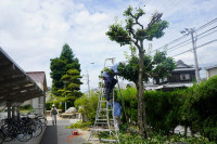 R7DSC07394