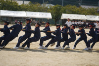 R7DSC08547