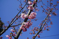 R7DSC06214