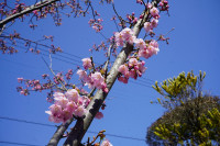 R7DSC06215
