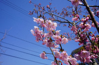 R7DSC06216